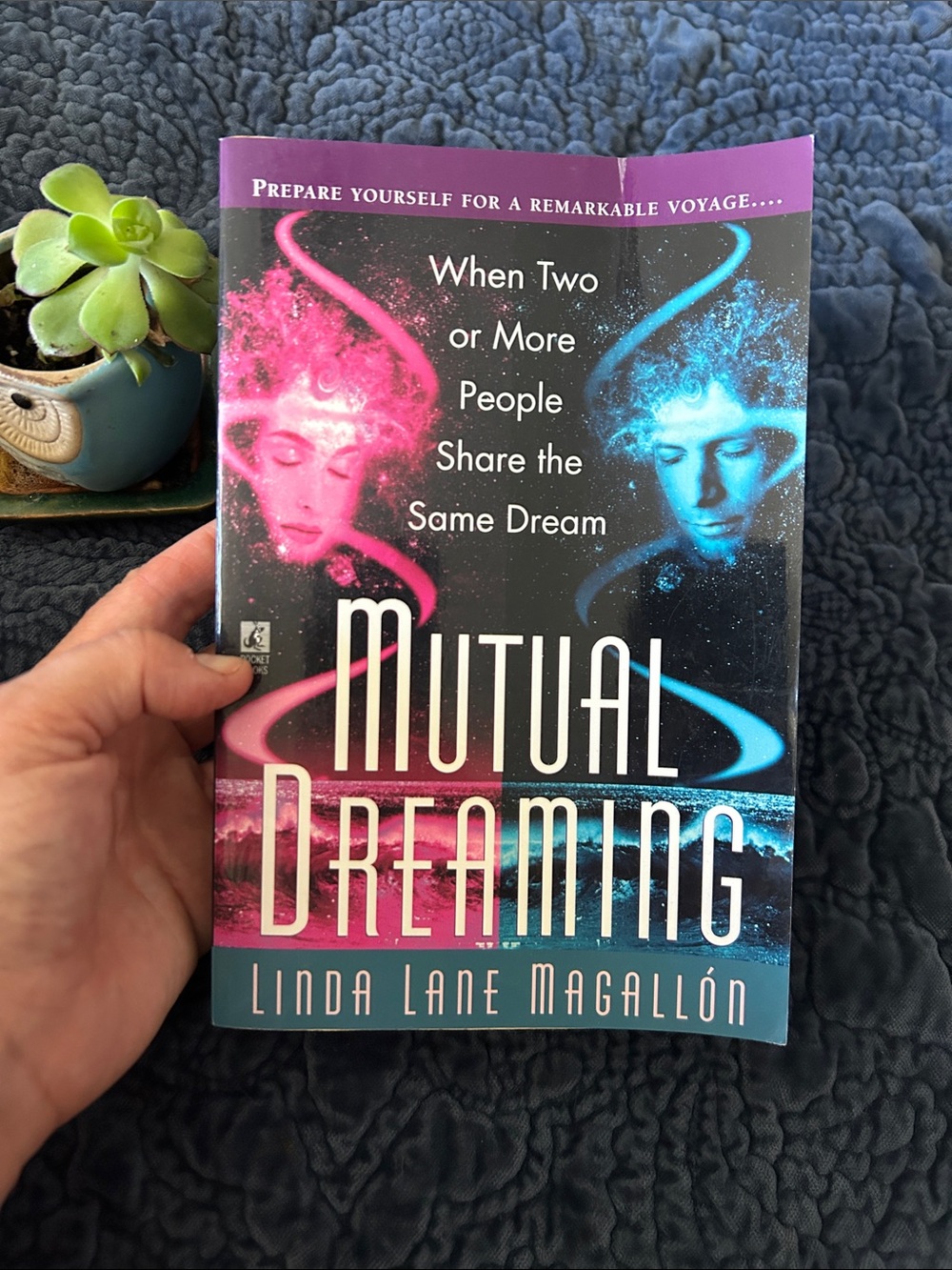 Mutual Dreaming by Linda Lane Magallón - Pink & Blue Cover